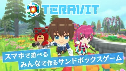 TERAVIT テラビットのゲーム画面