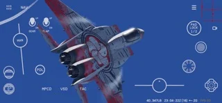 Red Flag Simのゲーム画面